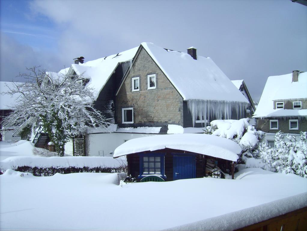 Ferienwohnung Boerner Winterberg Exteriör bild